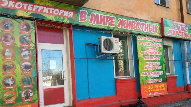 Экотерритория «В мире животных контактный зоопарк