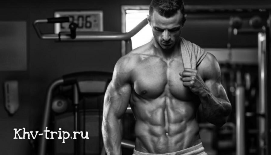 Программа тренировок бодибилдинг Бодибилдинг с чего начать