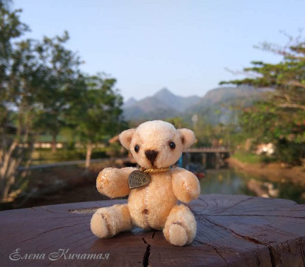 мишка тедди